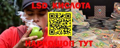 индика Нальчик