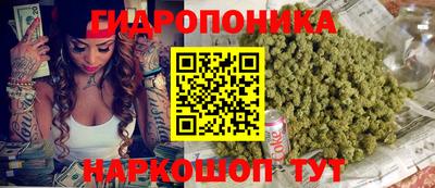 индика Нальчик