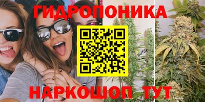 индика Нальчик