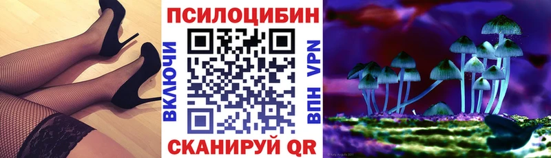 МЕГА ТОР  Киржач  Псилоцибиновые грибы мухоморы  купить  цена 