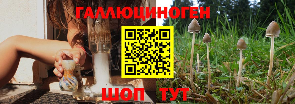 Псилоцибиновые грибы GOLDEN TEACHER Киржач
