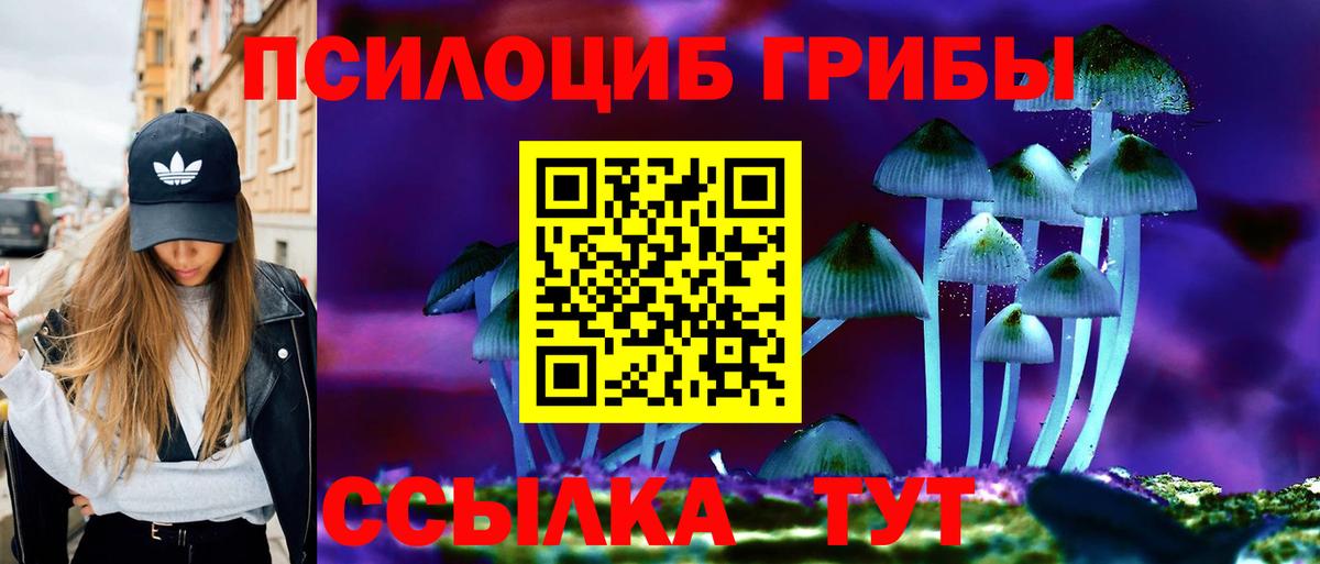 Псилоцибиновые грибы прущие грибы  Вход с VPN  Киржач  Галлюциногенные грибы ЛСД 