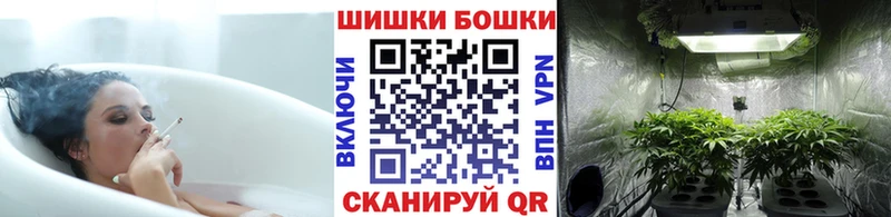 Бошки марихуана OG Kush  что такое   Киржач 